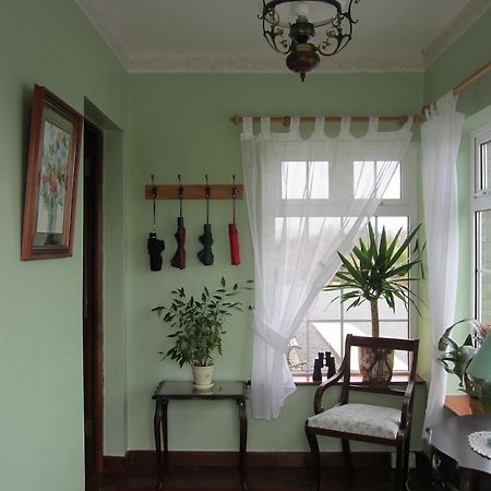 كيلارني Ocean View B&B المظهر الخارجي الصورة
